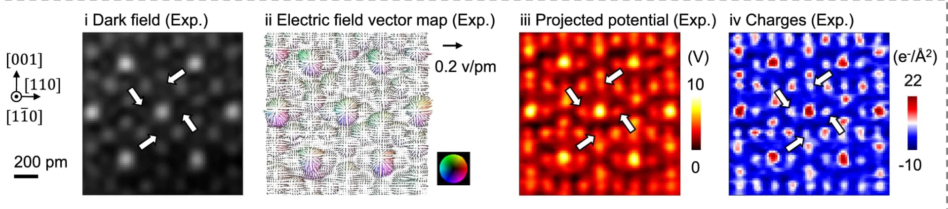 Open access visualization of Microscopy, Heatmap, Scatter Plot, Differential Phase Contrast, Four-Dimensional Scanning Transmission Electron Microscopy