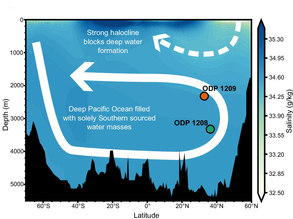 Open access visualization of Heatmap, Ocean Circulation, Deep Pacific Ocean, Early Pleistocene, Salinity