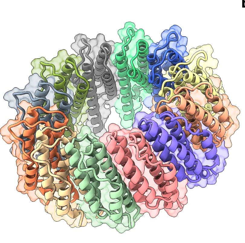 Open access visualization of Protein Structure, Bpa, Dodecameric Ring, Protomer, Structure