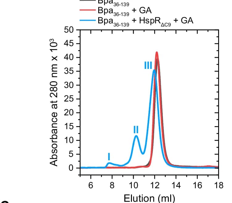 Open access visualization of Line Plot, Gel Filtration, Crosslinking, Substrate Binding, Molecular Weight