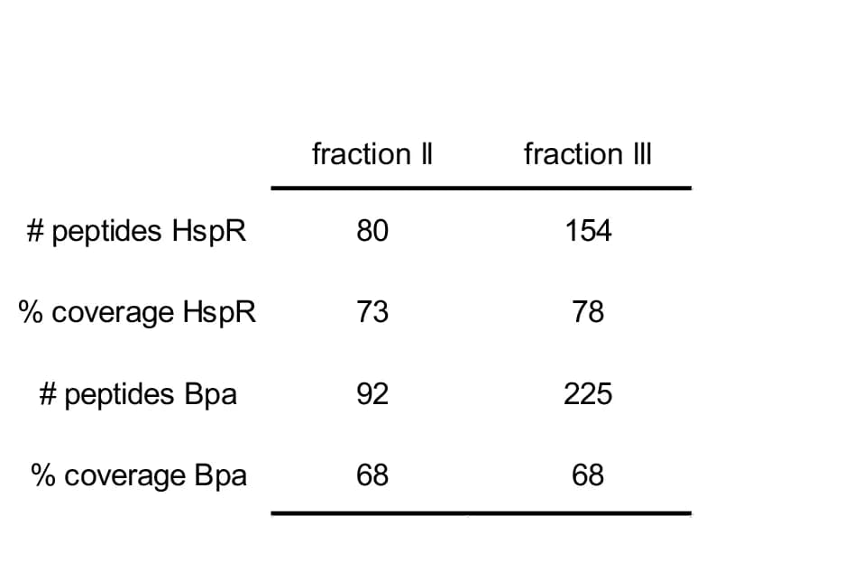 Open access visualization of Table Image, Mass Spectrometry, Crosslinking, Peptides, Protein Complex