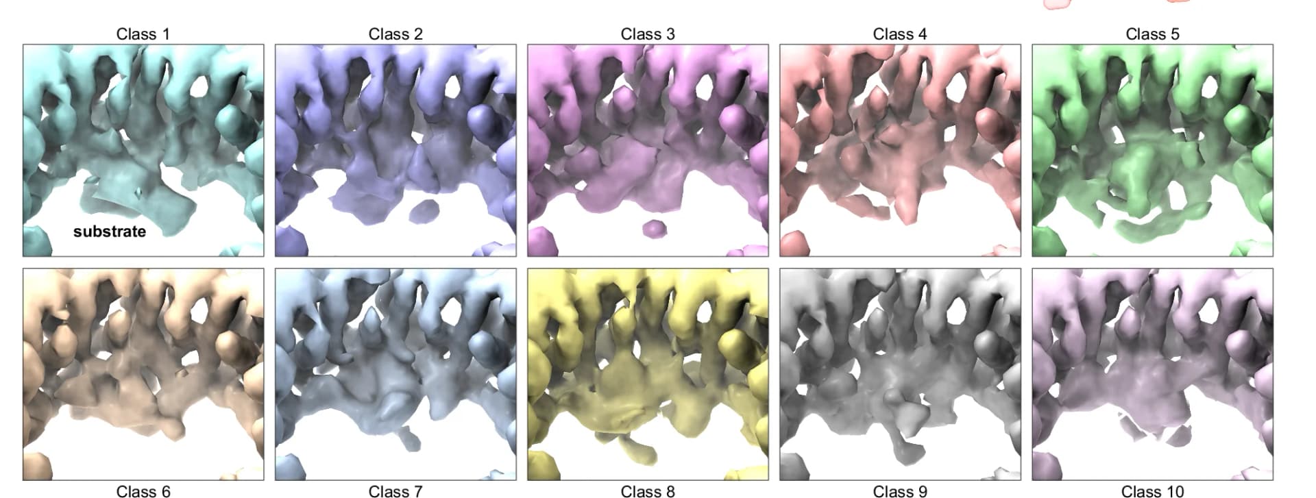 Open access visualization of Protein Structure, 3D Classification, Bpa-HspR Interaction, Conformational States, Substrate