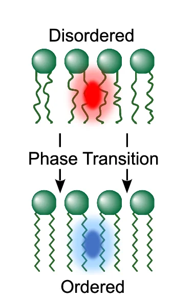 Open access visualization of Illustration, Chemical Structure, Schematic, PK Dye, Fluorescence Emission