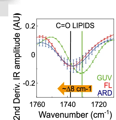 Open access visualization of Line Plot, Error Bars, Spectra, IR Absorption, Lipids
