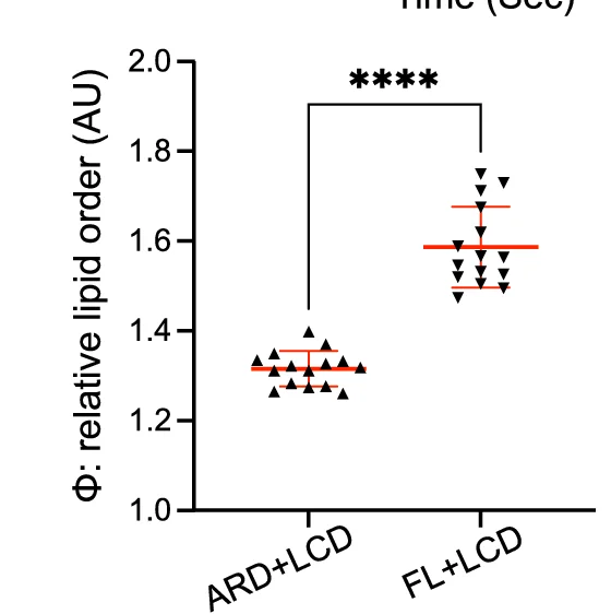 Open access visualization of Scatter Plot, Error Bars, Lipid Order, GUVs