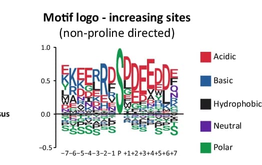 Open access visualization of Illustration, Sequence Logo, Phosphorylation Sites, Proline, Background Normalization