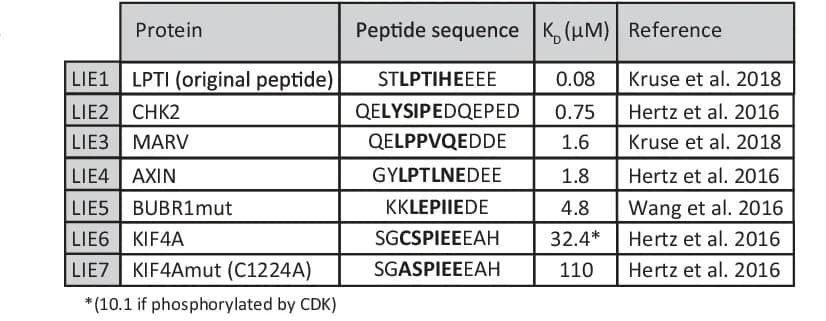 Open access visualization of Table Image, SLiMs, Peptide Sequence, Binding Affinity, PP2A-B56