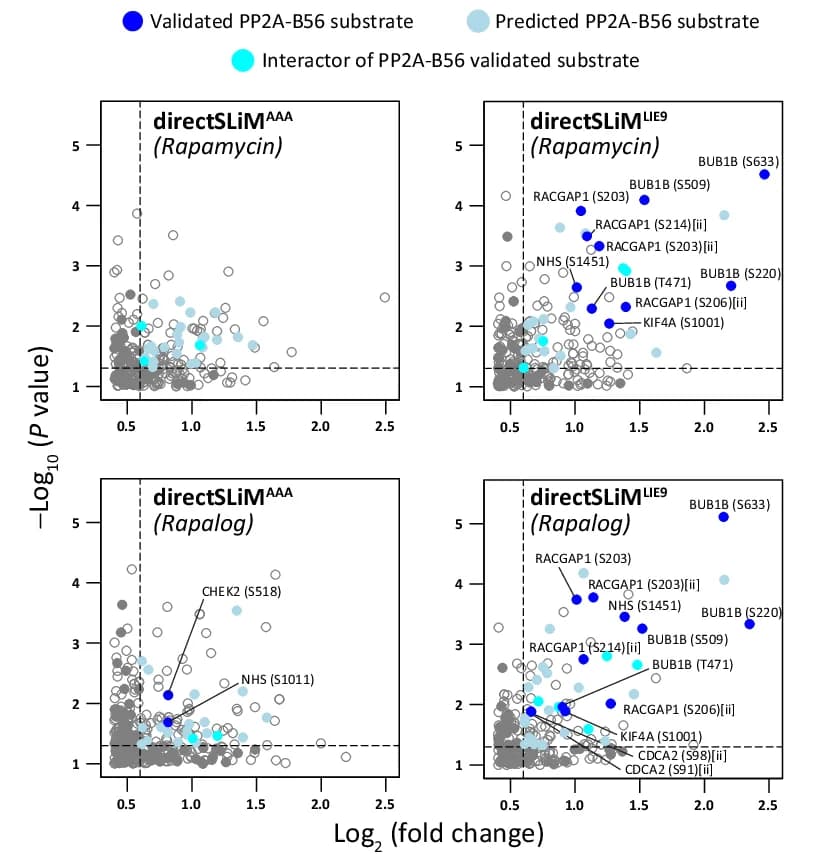 Open access visualization of Scatter Plot, Volcano Plot, Phosphorylation Sites, Rapamycin, Rapalog