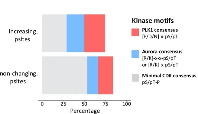 Open access visualization of Stacked Bar Plot, Aurora Kinase, PLK1, CDK, Consensus Motifs