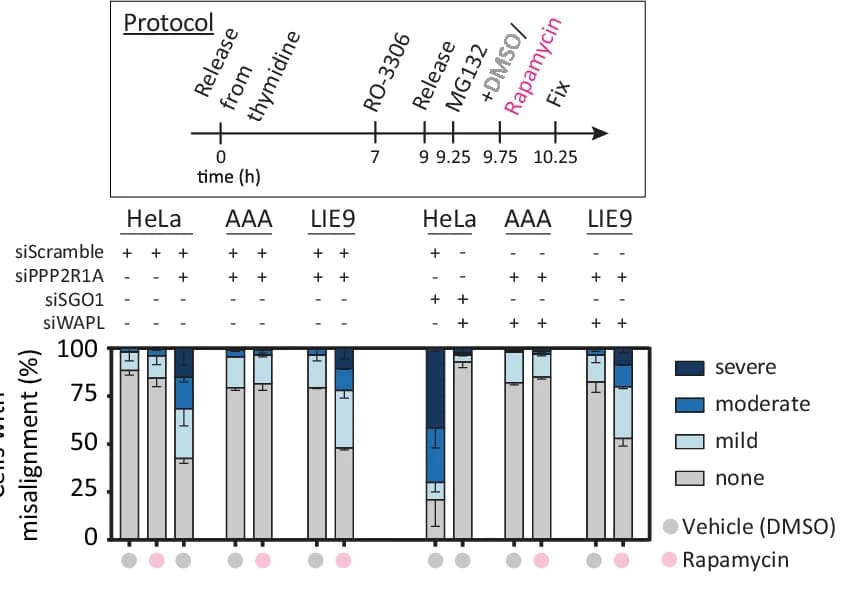 Open access visualization of Stacked Bar Plot, Error Bars, Chromosome Alignment, HeLa-FRT Cells, directSLiMs LIE9/AAA