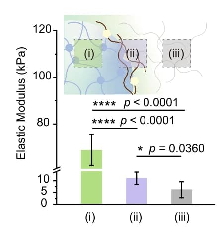 Open access visualization of Bar Plot, Error Bars, Young's Modulus, Plasma Clot, AFM Tapping Mode
