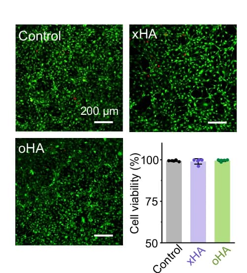 Open access visualization of Bar Plot, Microscopy, Error Bars, In Vitro Cell Viability, Mouse Fibroblast Cells
