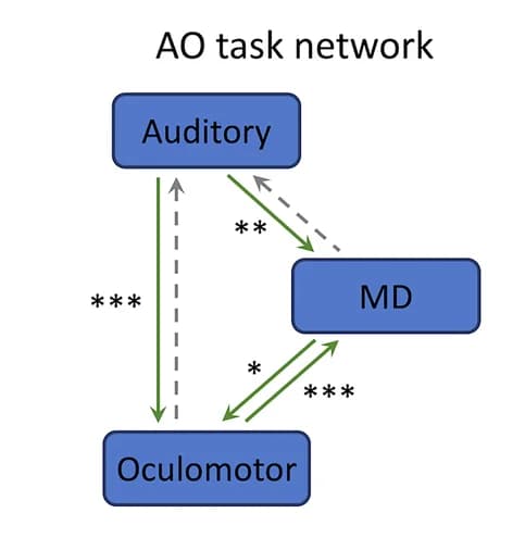 Open access visualization of Pathway, Network, AO Task, Neural Network Model, Causal Influence