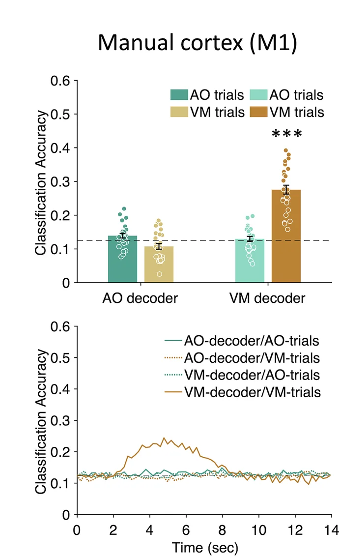 Open access visualization of Bar Plot, Error Bars, Scatter Plot, Line Plot, Manual Motor Cortex