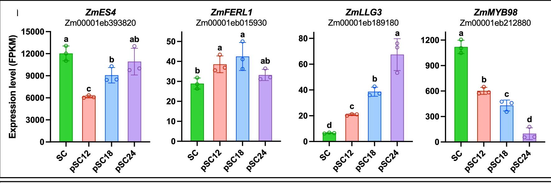 Open access visualization of Bar Plot, Error Bars, Gene Expression, Synergid Genes, FPKM