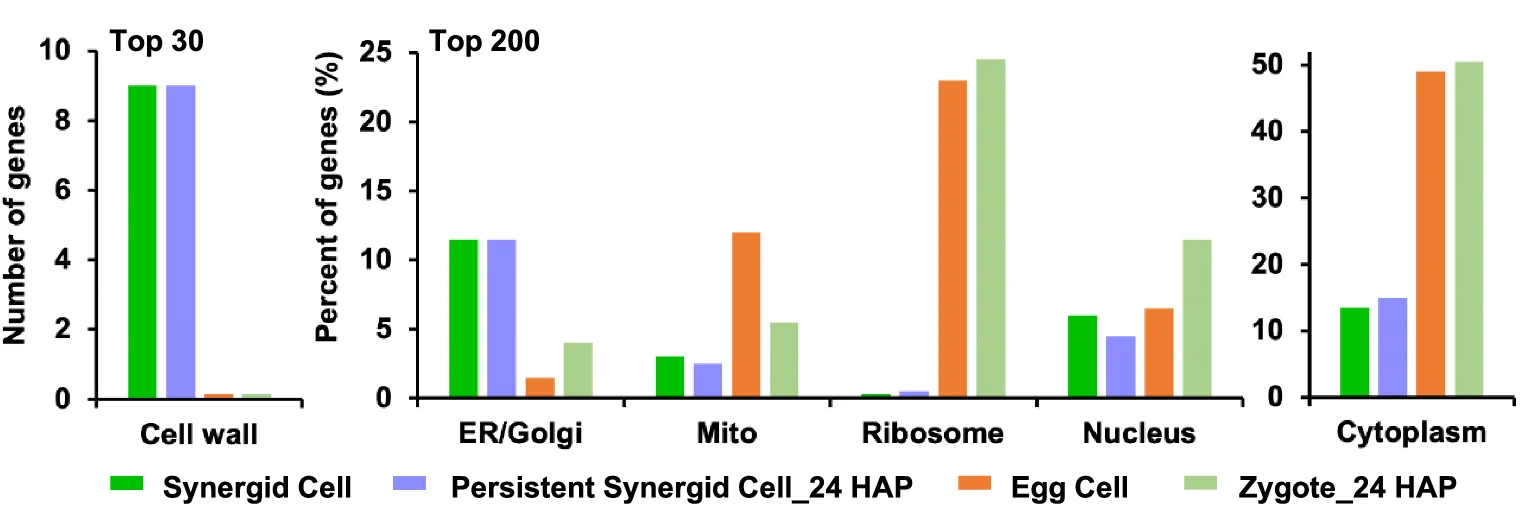Open access visualization of Bar Plot, Clustered, Subcellular Distribution, Gene Products, Fusion Proteins