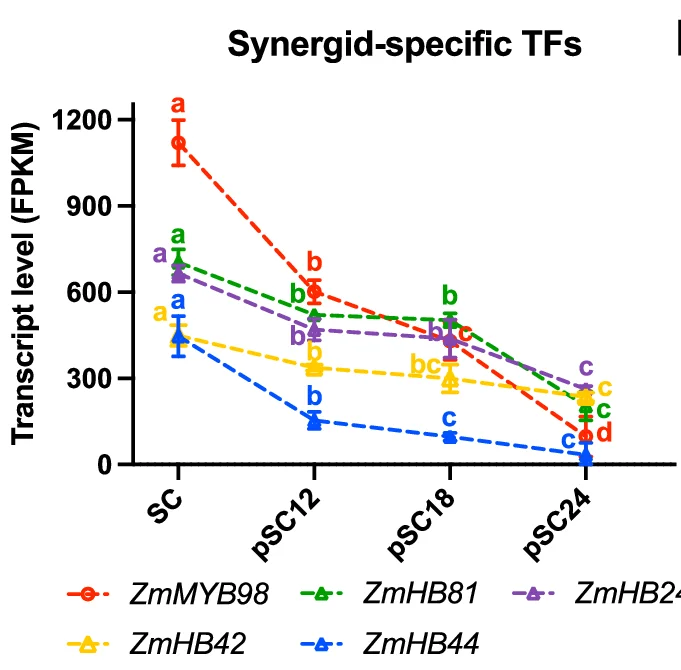 Open access visualization of Line Plot, Error Bars, Gene Expression, Transcription Factors, Synergid Cells