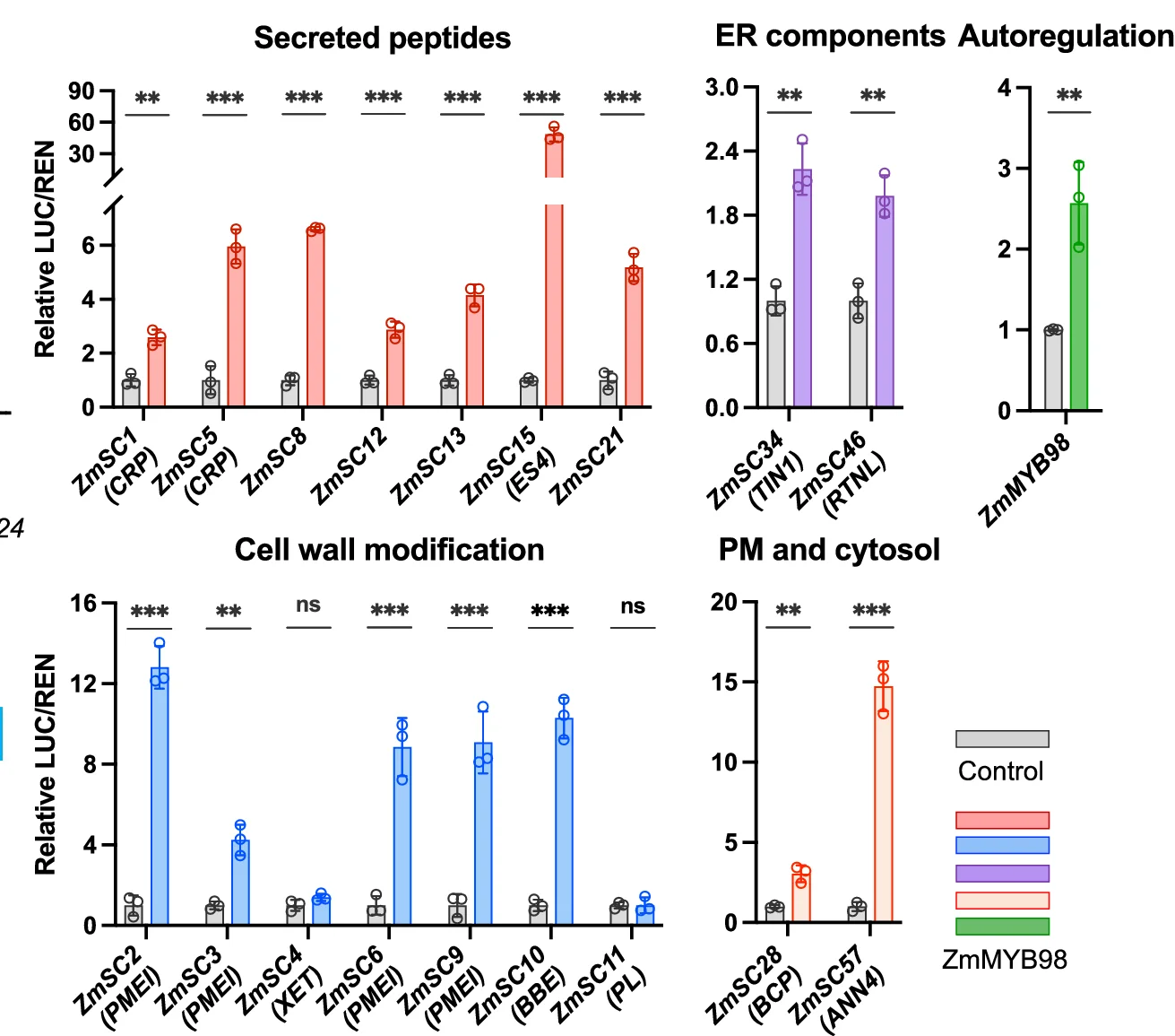 Open access visualization of Bar Plot, Error Bars, Transactivation Assay, ZmMYB98, Gene Expression