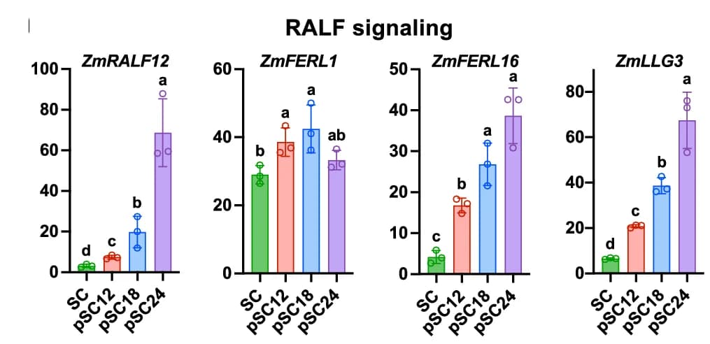 Open access visualization of Bar Plot, Error Bars, RBOH, RALF Peptide/Receptor Genes, Fertilization