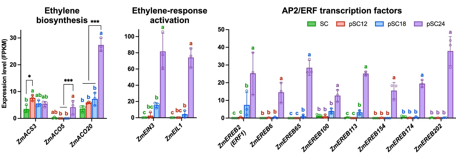 Open access visualization of Bar Plot, Error Bars, Clustered, Ethylene, Synergid Cell