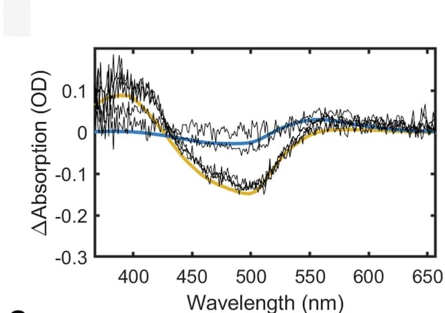 Open access visualization of Line Plot, Difference Spectra, LCP Microcrystals, Np SRII, M-state
