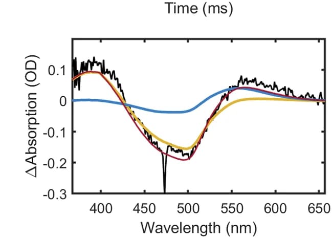 Open access visualization of Line Plot, Difference Spectrum, Photostationary State, Microcrystals, M-state