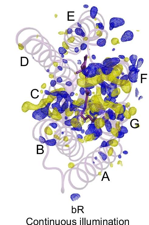 Open access visualization of Protein Structure, Electron Density Map, SSX Data, bR Microcrystals, Continuous Illumination