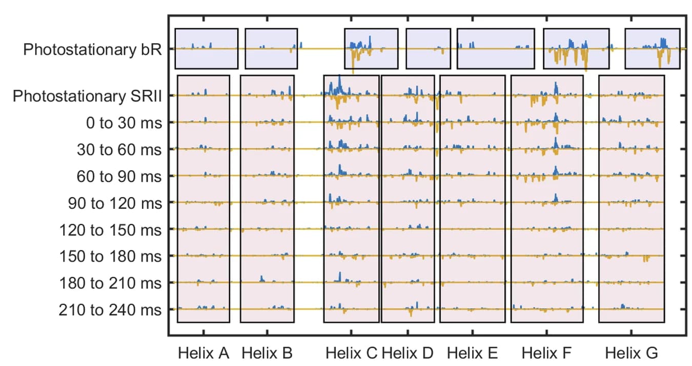 Open access visualization of Line Plot, Electron Density, Sequence, Transmembrane Helices, Helices