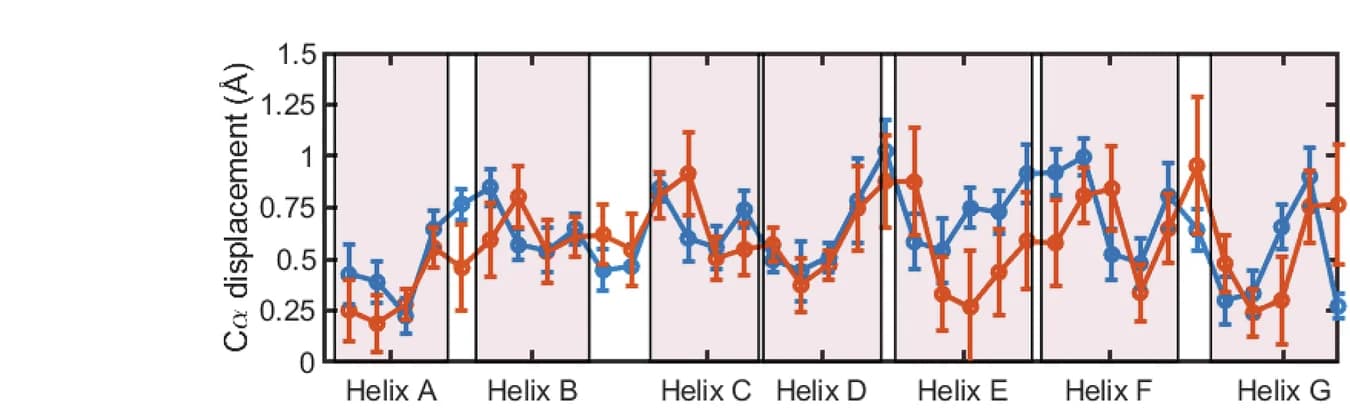 Open access visualization of Line Plot, Error Bars, RMSD, Atomic Displacements, Time-Delays