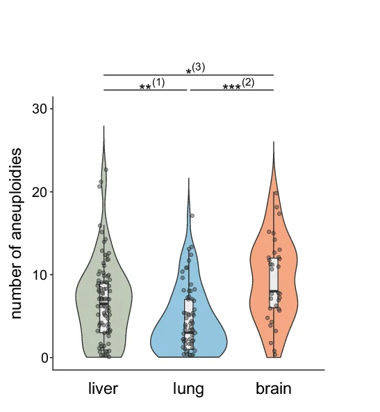 Open access visualization of Violin Plot, Scatter Plot, Chromosomal Arm Aneuploidies, CRC Metastases, Box Plot