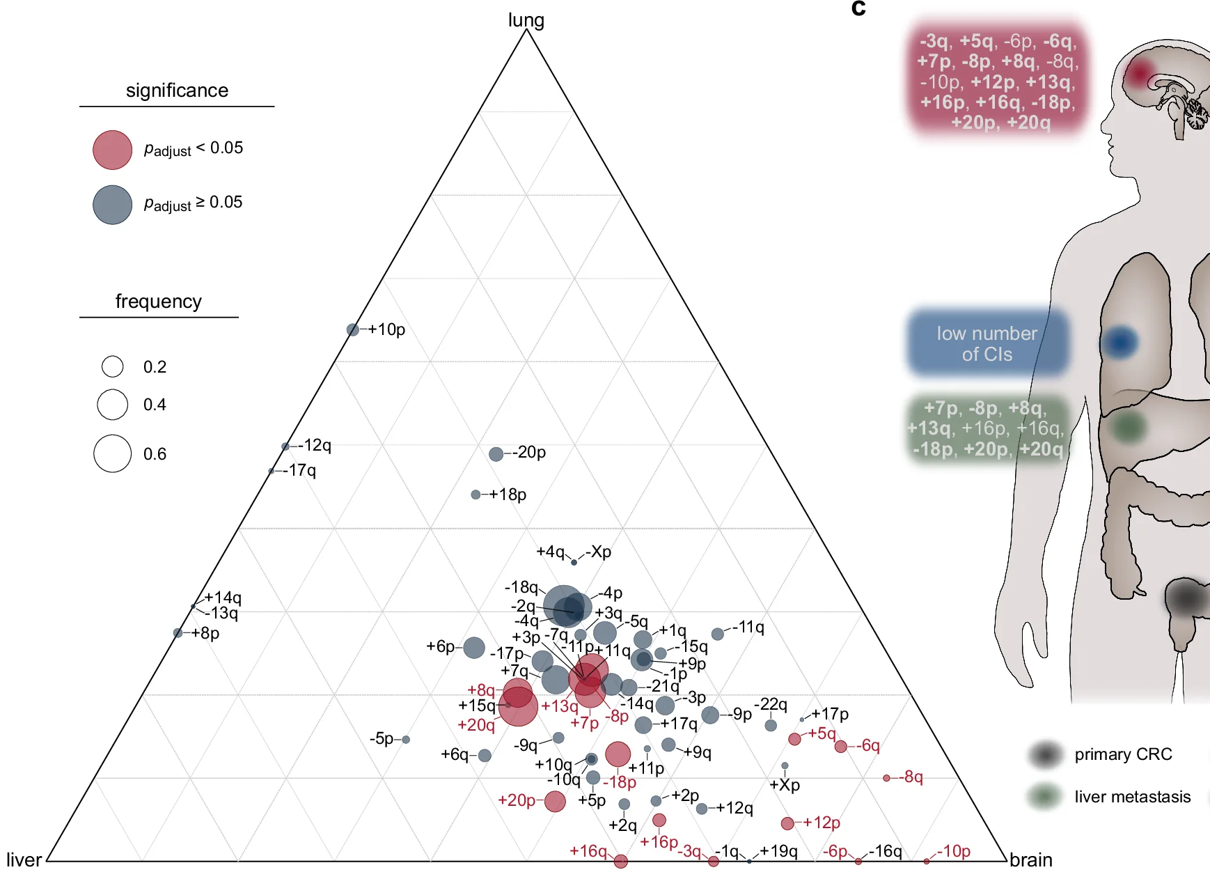 Open access visualization of Scatter Plot, Bubble Plot, Illustration, Organotropic Map, Site-Specific Enrichment