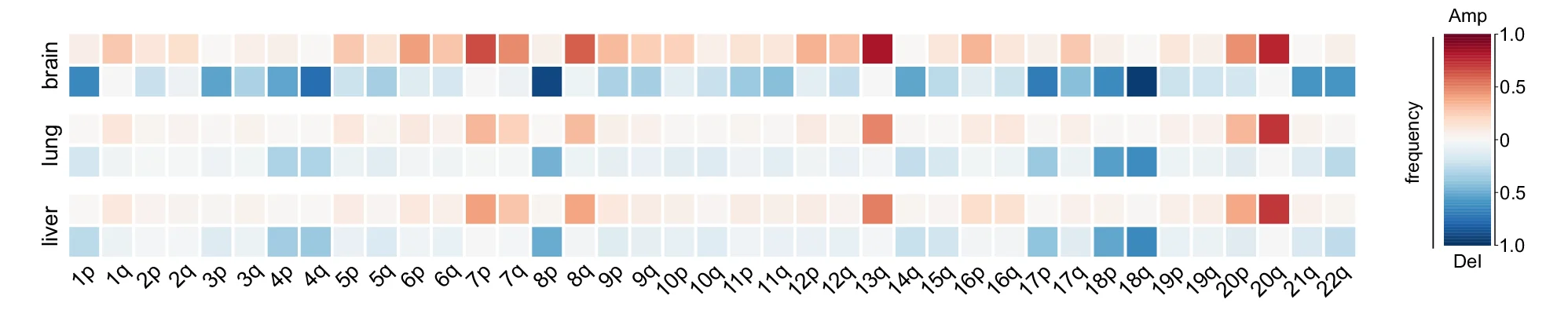 Open access visualization of Heatmap, Chromosomal Arm Aneuploidies, Liver Metastases, Lung Metastases, Brain Metastases