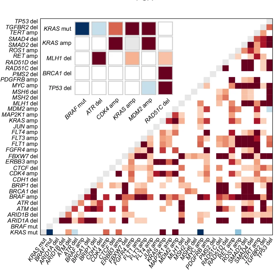 Open access visualization of Heatmap, Co-occurrence Probability Mapping, Genetic Changes, CRC Metastases, Co-occurrence Modeling