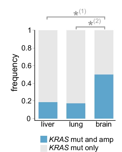 Open access visualization of Stacked Bar Plot, KRAS Amplifications, Metastases, Oncogenic KRAS Mutations, Fisher Exact Test