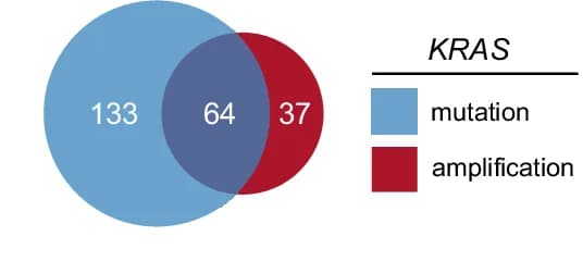 Open access visualization of Venn Diagram, KRAS Mutations, KRAS Amplifications, CRCs