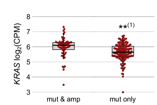 Open access visualization of Box Plot, Scatter Plot, KRAS Expression Levels, Wilcoxon Rank-Sum Test, Benjamini-Hochberg Adjustment