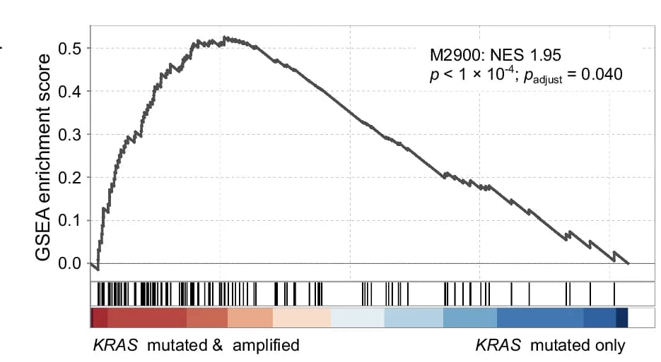 Open access visualization of Line Plot, GSEA, M2900 Gene Set, Oncogenic KRAS, Normalized Enrichment Score