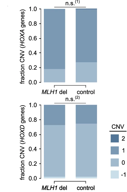 Open access visualization of Stacked Bar Plot, CNV Analysis, HOXA Loci, HOXD Loci, Fisher Exact Test