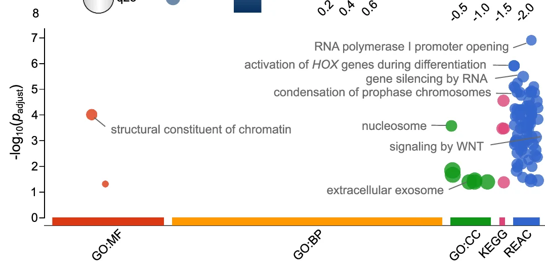 Open access visualization of Scatter Plot, Bar Plot, G:Profiler Analysis, Upregulated Genes, BRCA1 Deletion CRC