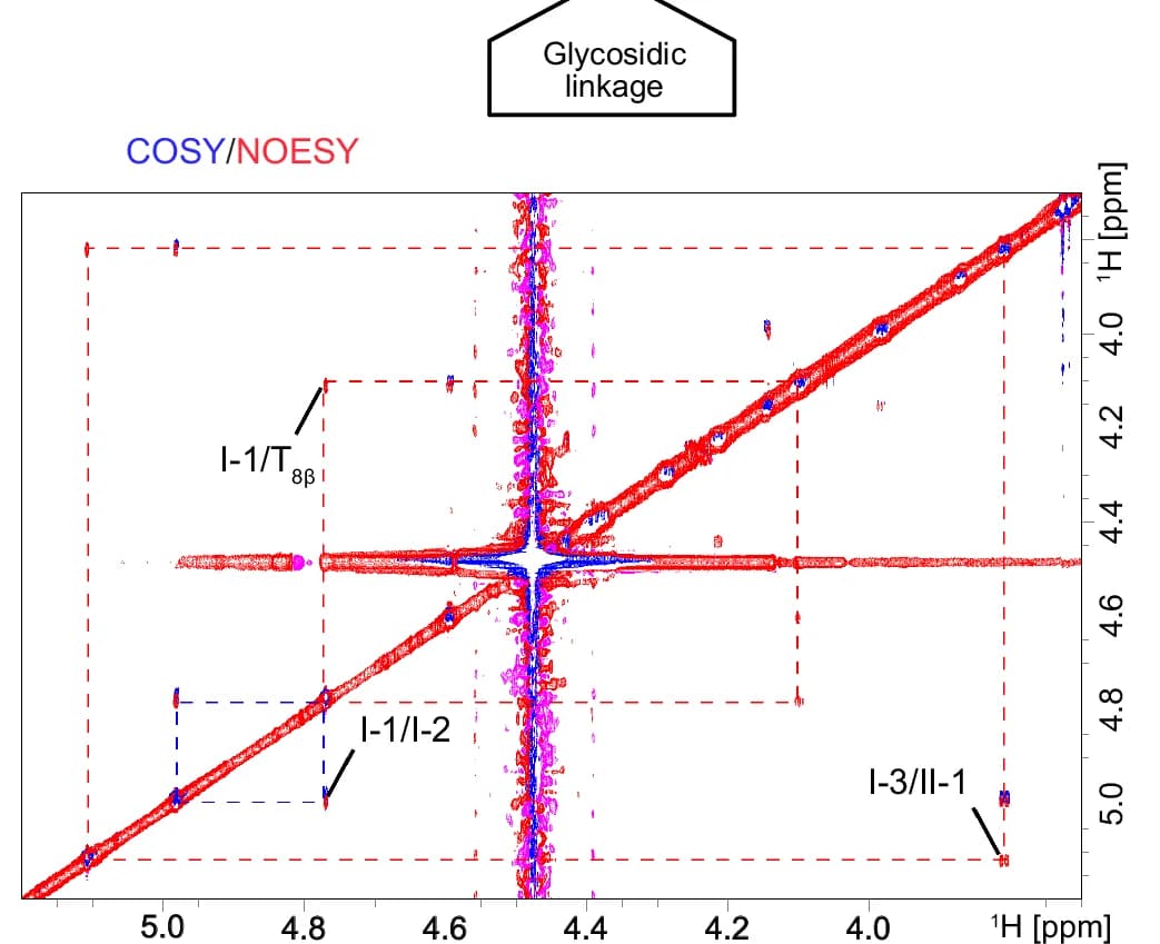 Open access visualization of Heatmap, NMR Spectra, COSY, NOESY, Cross-Peaks