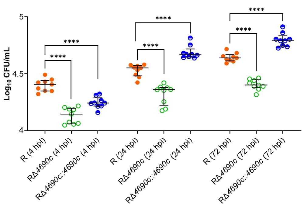 Open access visualization of Scatter Plot, Error Bars, Intracellular Bacterial Burden, THP-1 Cells, CFUs