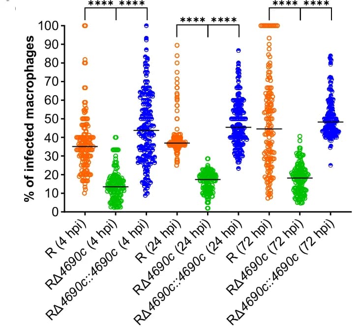 Open access visualization of Scatter Plot, Infected Cells, THP-1 Cells, Mann-Whitney Test