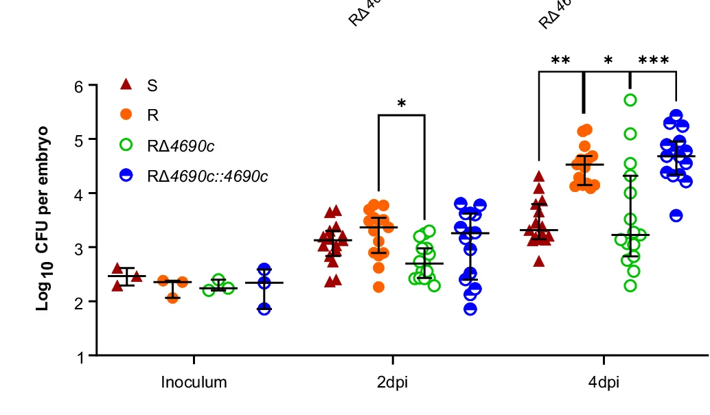 Open access visualization of Scatter Plot, Error Bars, Bacterial Growth, Zebrafish Embryos, M. Abscessus