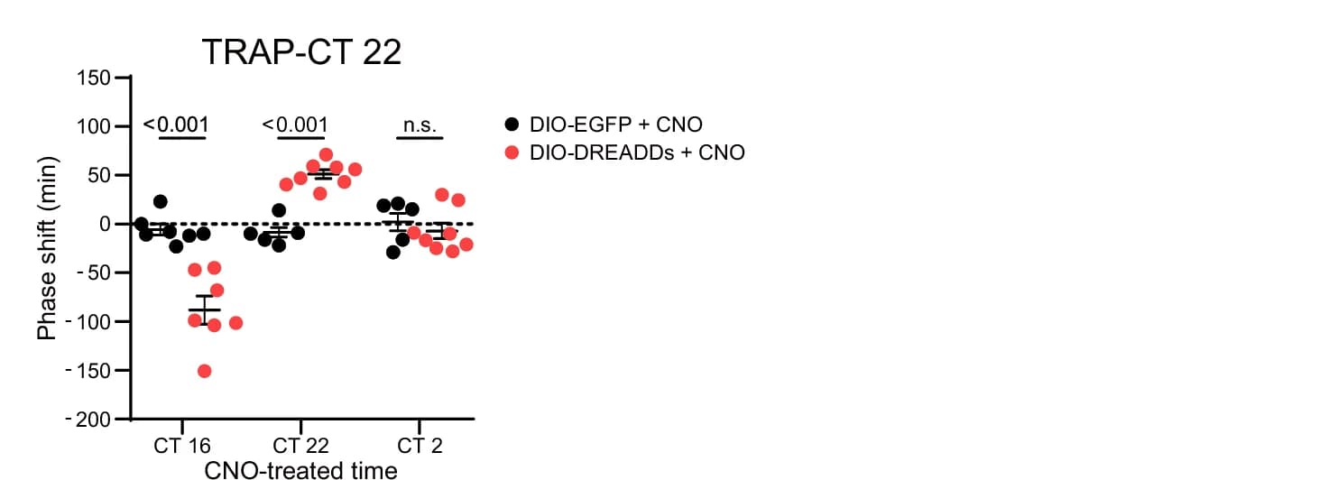 Open access visualization of Scatter Plot, Error Bars, Phase Shift Analysis, DREADDs, rM3Ds