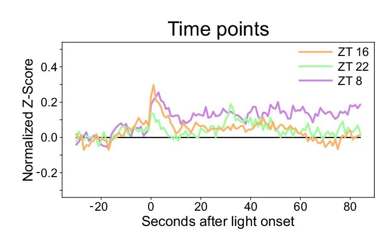 Open access visualization of Line Plot, Light-response, Neurons, GRIN Endoscope
