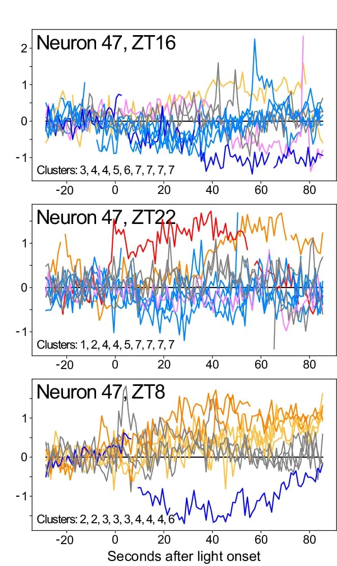 Open access visualization of Line Plot, Raw Traces, Neuron, Light-Evoked Responses