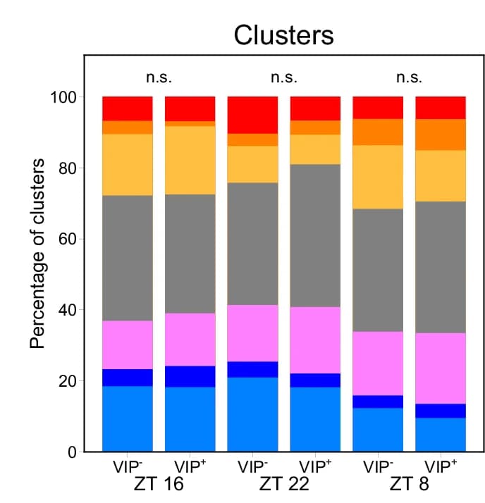 Open access visualization of Stacked Bar Plot, Light Response, VIP Neurons, Clusters, Two-way ANOVA