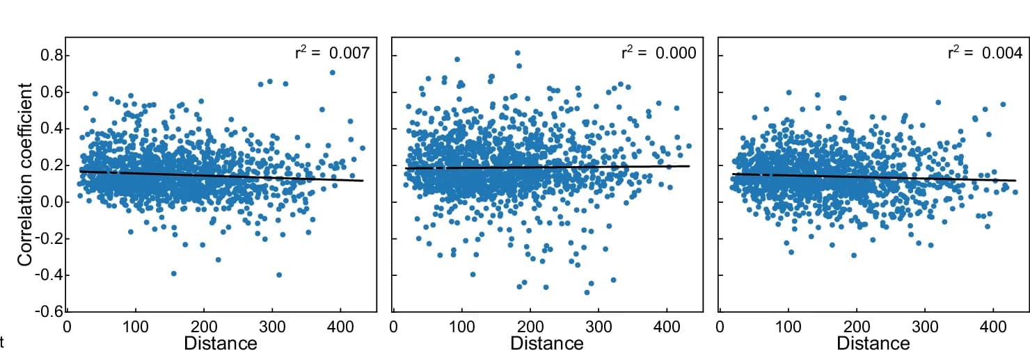 Open access visualization of Scatter Plot, Regression Plot, Scatter Plots, Distance, Neuron Pairs
