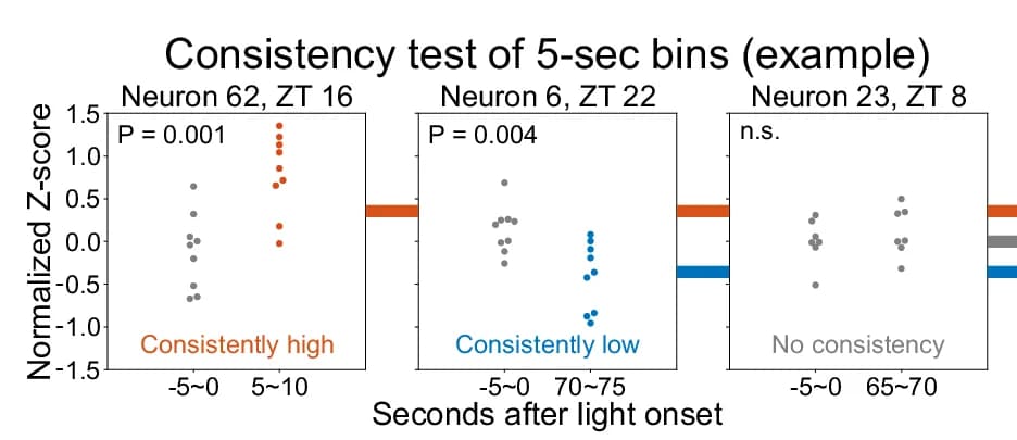 Open access visualization of Scatter Plot, Light Response, Neurons, Z-score, ANOVA