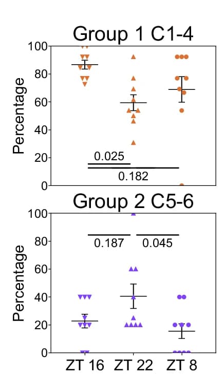 Open access visualization of Scatter Plot, Error Bars, Neurons, Activation Clusters, Inhibition Clusters